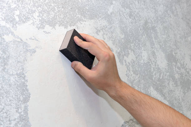 Best Mold Odor Removal Services  in Niagara Falls, NY