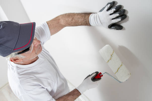 Best Environmental Consulting for Mold Prevention  in Niagara Falls, NY