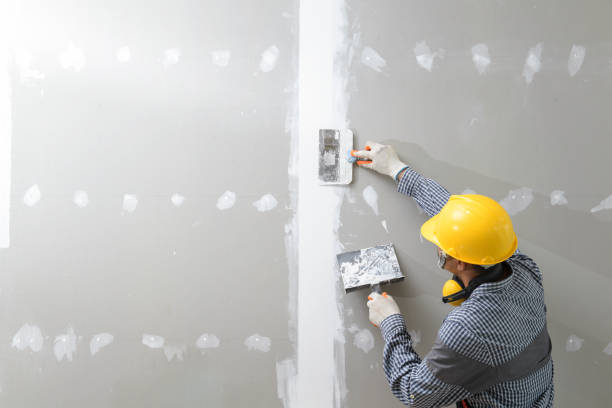 Best Forensic Mold Investigation  in Niagara Falls, NY