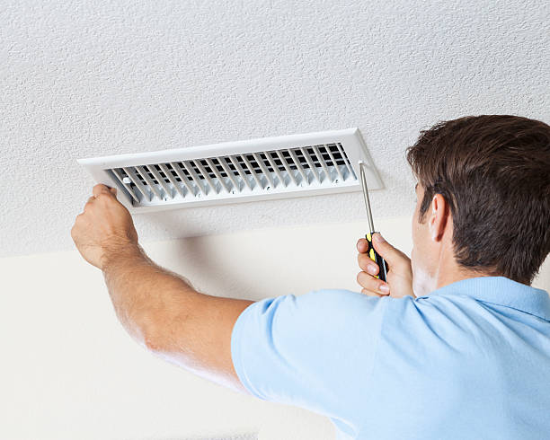 Best Mold Documentation for Insurance Claims  in Niagara Falls, NY